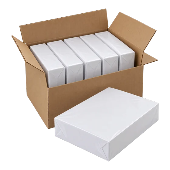 Papier A4 80 g, 5 ramettes (illustration)